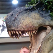 ���������� �����������, ���� ������� ������, 45 ���, ������������ ��� ������, ����� � ���������, c�������� ���������