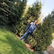 ���������� ���������, ���� ������� ��������, 56 ���, ������������ ��� ������, ����� � ���������