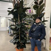 ���������� ������, ���� ������� Roma, 33 ����, ������������ ��� ������, ����� � ���������