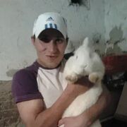 ���������� �����, ���� ������� �������, 38 ���, ������������ ��� ������, ����� � ���������