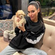 ���������� ��������, ���� ������� ������, 33 ����, ������������ ��� ������, ����� � ���������