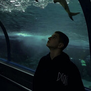 ���������� �����������, ���� ����� �������, 23 ����, ������������ ��� ������, ���������