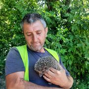 ���������� ������, ���� ������� ˸��, 55 ���, ������������ ��� c�������� ���������