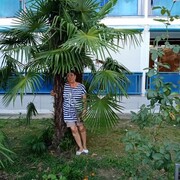 ���������� �����, ���� ������� ������, 66 ���, ������������ ��� ������, ����� � ���������