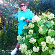 ���������� �������, ���� ������� ������, 58 ���, ������������ ��� ������, ����� � ���������