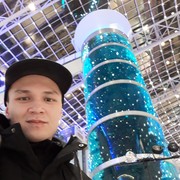 ���������� ������, ���� ������� ����, 33 ����, ������������ ��� ������, ����� � ���������, c�������� ���������