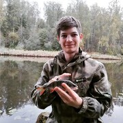 ���������� �����-���������, ���� ������� �������, 29 ���, ������������ ��� ����� � ���������, c�������� ���������