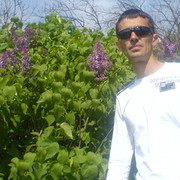  ,    , 49 ,   ,   , c 