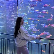 ���������� �����-���������, ���� ������� ��������, 31 ���, ������������ ��� ������, ����� � ���������, c�������� ���������, ���������