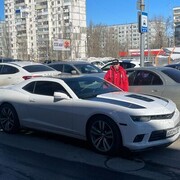 ���������� ���������, ���� ������� ��������, 37 ���, ������������ ��� ������, ����� � ���������