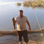 ���������� �����������, ���� ������� ���, 31 ���, ������������ ��� ������, ����� � ���������