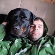 ���������� �����-���������, ���� ������� �������, 44 ����, ������������ ��� ������, c�������� ���������