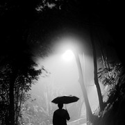 ���������� �������, ���� ������� �����, 38 ���, ������������ ��� ������, ����� � ���������, c�������� ���������