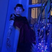 ���������� ������, ���� ������� �����, 35 ���, ������������ ��� ����� � ���������, c�������� ���������