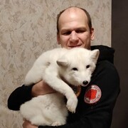 ���������� ������, ���� ������� ����, 43 ����, ������������ ��� ������, ����� � ���������, c�������� ���������