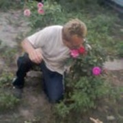  ,   , 52 ,     , c 