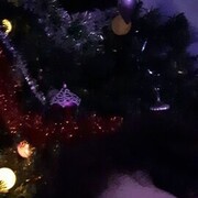  ,   , 53 ,   ,   