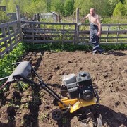 ���������� �����-���������, ���� ������� Ҹ��, 33 ����, ������������ ��� c�������� ���������