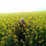 ���������� ������, ���� ������� ����, 47 ���, ������������ ��� ������, ����� � ���������, c�������� ���������