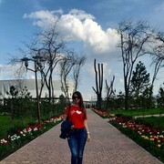  --,   , 38 ,   c 