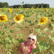 ���������� �����������, ���� ������� �������, 34 ����, ������������ 