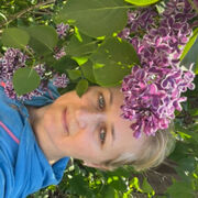  ,   , 51 ,     , c , 
