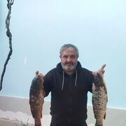  ,   , 61 ,   ,   