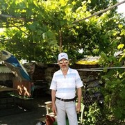  ,   , 65 ,     , c 
