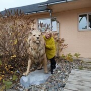 ���������� ����������, ���� ������� �������, 43 ����, ������������ ��� ����� � ���������, c�������� ���������