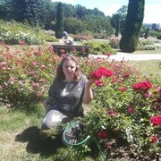 ���������� �����, ���� ������� ���������, 34 ����, ������������ 