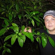 ���������� �����, ���� ������� ���������, 104 ����, ������������ ��� ����� � ���������, c�������� ���������