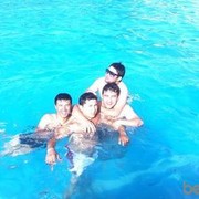  ,   , 36 ,   
