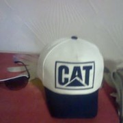  ,   Cat, 40 ,   