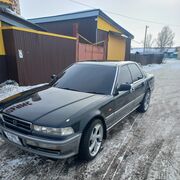 ���������� ����, ���� ������� ������, 42 ����, ������������ ��� ������, ����� � ���������