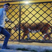 ���������� ��������, ���� ������� ��������, 37 ���, ������������ ��� ������, ���������