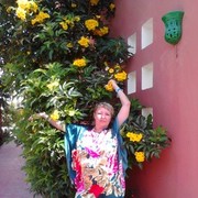  ,   , 54 ,   ,   , c 