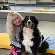 �����, �����-���������