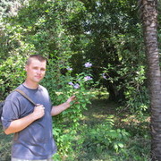 ���������� ����, ���� ������� ������, 40 ���, ������������ ��� ������, ����� � ���������, c�������� ���������