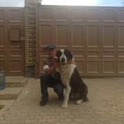 ���������� �������, ���� ������� �����, 57 ���, ������������ ��� ������, ����� � ���������, c�������� ���������