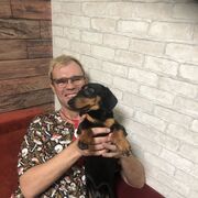 ���������� ���������, ���� ������� ����, 38 ���, ������������ ��� ������, ����� � ���������