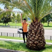 ���������� �����, ���� ������� �������, 32 ����, ������������ ��� ������, ����� � ���������, c�������� ���������