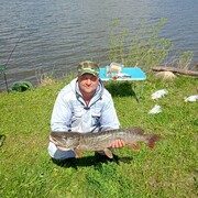 ���������� �����������, ���� ������� ���������, 40 ���, ������������ ��� c�������� ���������, ���������