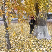  ,   Sezer, 41 ,   ,   , 
