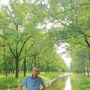 ���������� �����-���������, ���� ������� ������, 55 ���, ������������ ��� ������, ����� � ���������