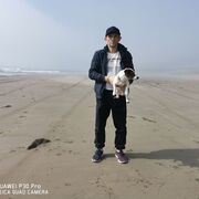  ,   , 43 ,   ,   , c 