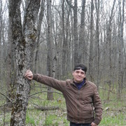 ���������� �������, ������� �������, 43