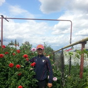 ���������� �����������, ���� ������� ���, 36 ���, ������������ ��� ������, ����� � ���������, c�������� ���������