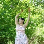 ,   , 49 ,   ,   , 