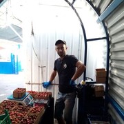 ���������� ������, ���� ������� ����, 40 ���, ������������ ��� c�������� ���������