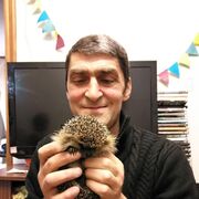 ���������� ������, ���� ������� �����, 55 ���, ������������ ��� ����� � ���������, c�������� ���������